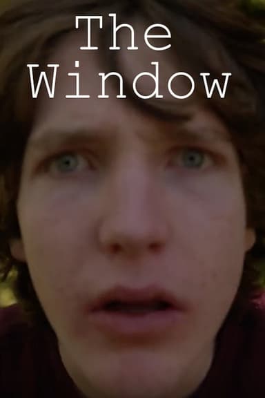 The Window poster