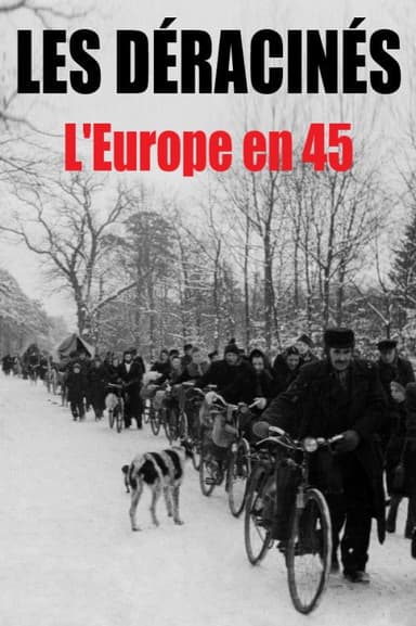 Les déracinés - L'Europe en 45 poster