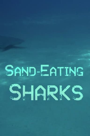 The Sand Eating Shark poster