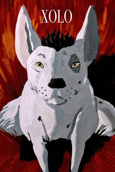 XOLO poster