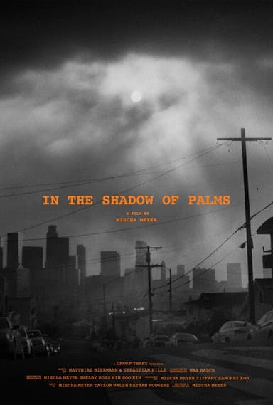 In the Shadow of Palms poster