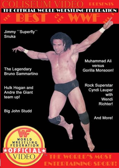 Best of the WWF Volume 1 poster