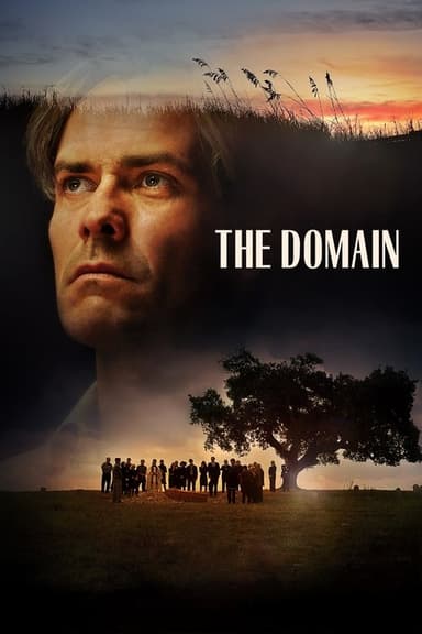 The Domain poster