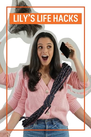 Lily's Life Hacks poster
