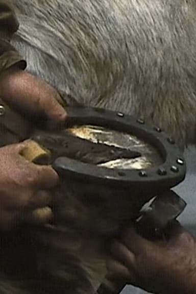 The Farrier poster