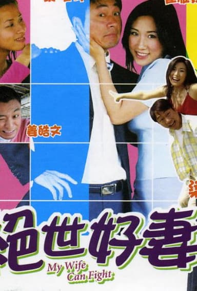 My Wife Can Fight poster