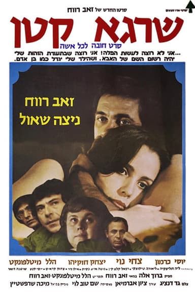 Little Man poster