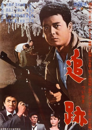 Pursuit poster