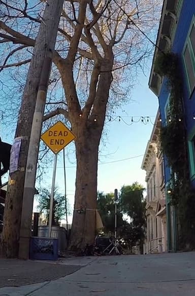 Tree Listening Test poster