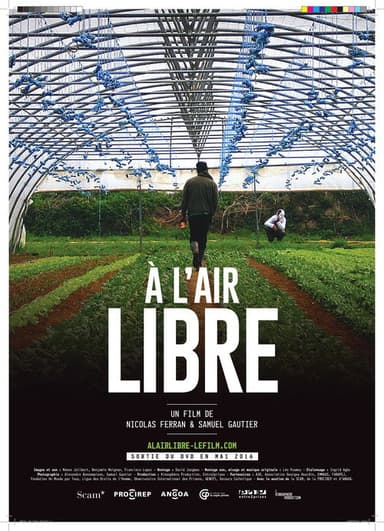 A l'air Libre poster