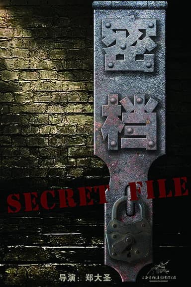 Secret File poster