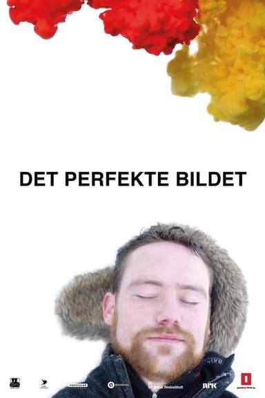 Det perfekte bildet poster