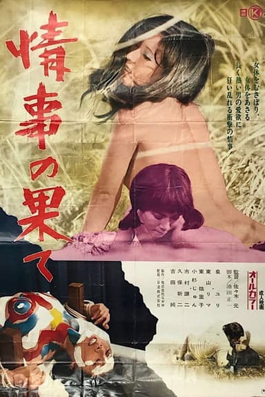 End of a Love Affair poster