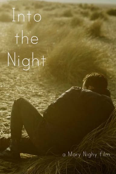 Into the Night poster
