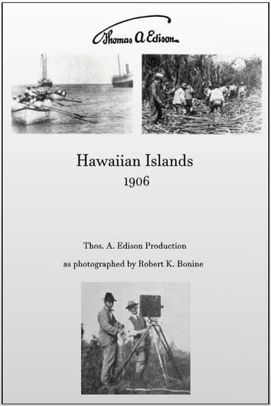 Hawaiian Islands poster