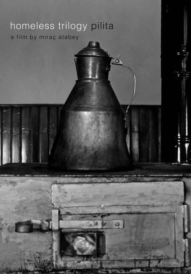 Stove poster