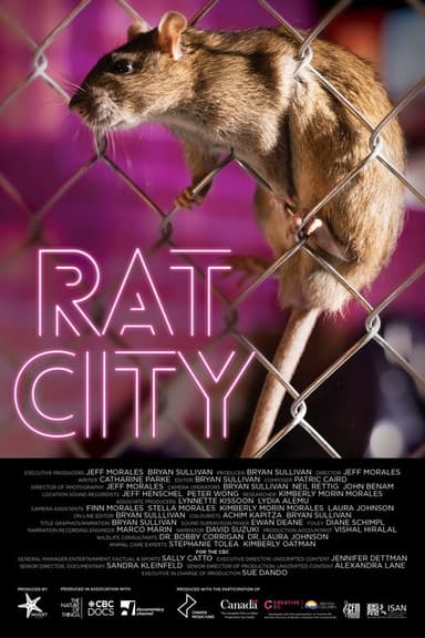Rat City poster