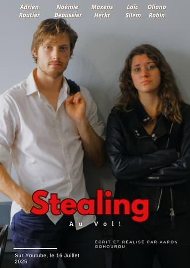 Stealing Au Vol poster