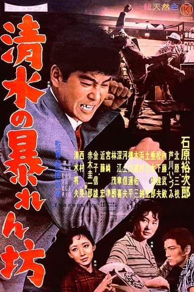 The Wild Reporter poster