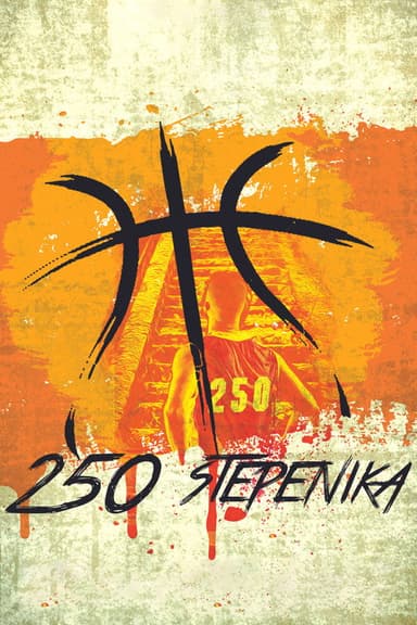 250 Steps poster