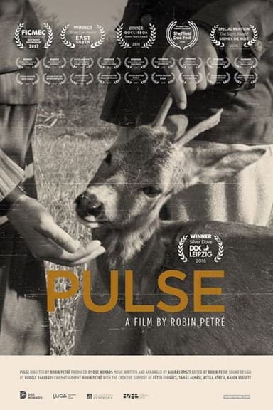 Pulse poster