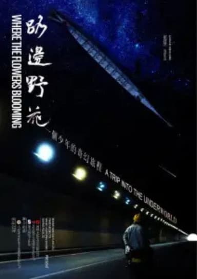 Where The Flowers Blooming poster