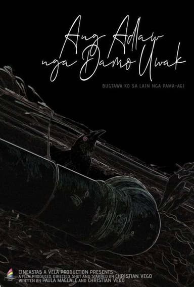 The Day When the Crows Were Present poster