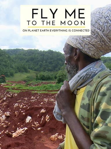 Fly Me to the Moon poster