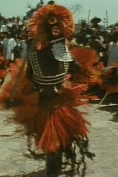 Tracking the Pale Fox: Studies on the Dogon poster