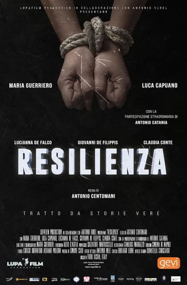 Resilienza - The rainbow bridge poster