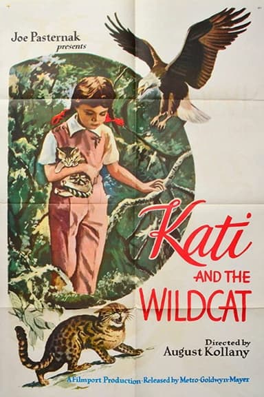 Kati és a vadmacska poster