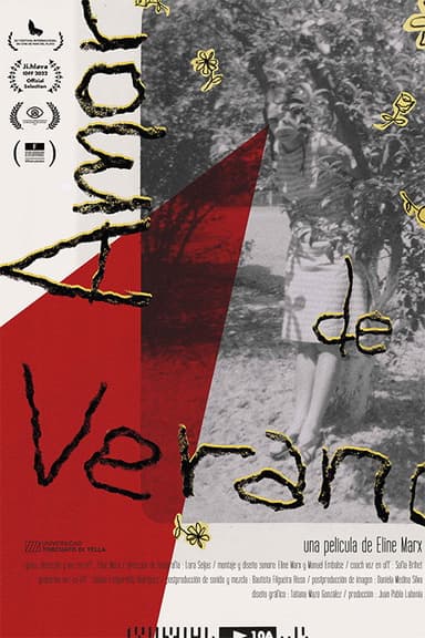 A Summer Love poster