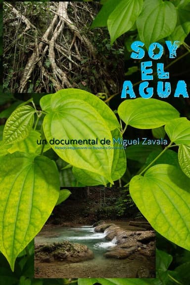Soy el Agua poster