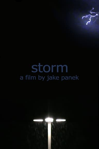 storm poster