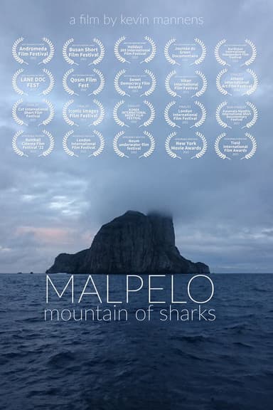 Malpelo: Mountain of Sharks poster