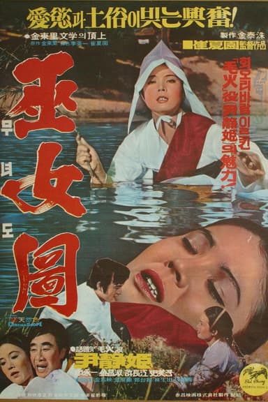 A Shaman's Story poster