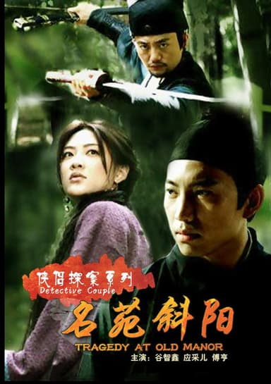 侠侣探案之名苑斜阳 poster
