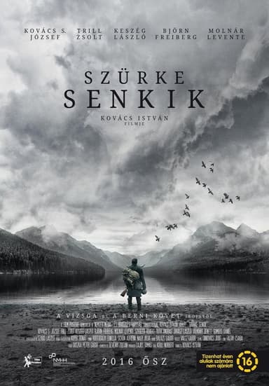 The Grey War poster