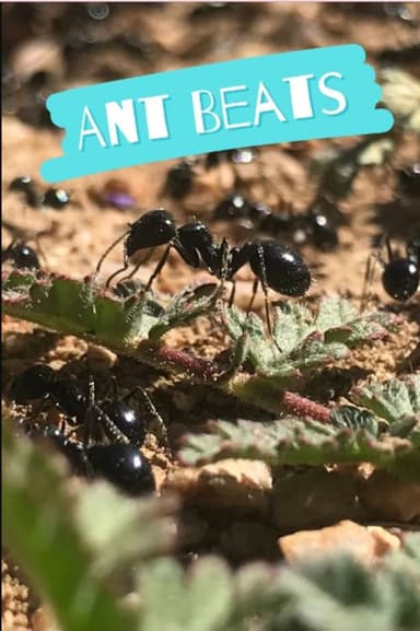 Ant Beats poster