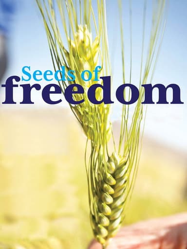 Seeds of Freedom poster