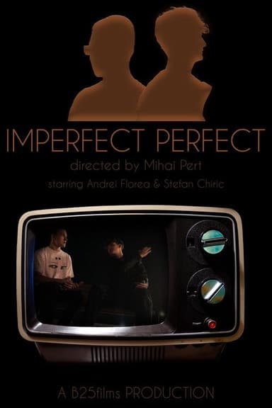 Imperfectly Perfect poster