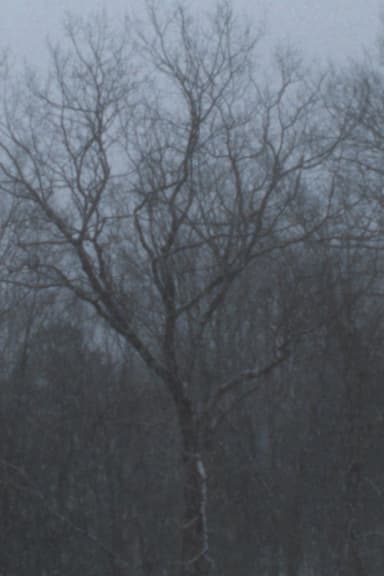 Snowfall poster
