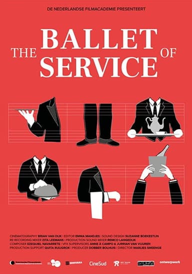 The Ballet of Service poster