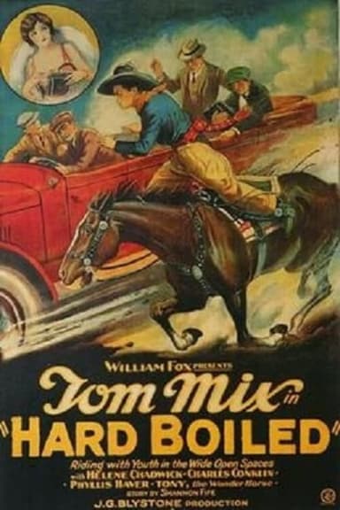 Hard Boiled poster