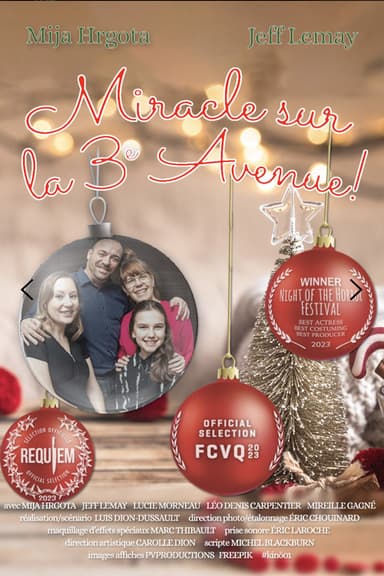 Miracle on 3rd Avenue! poster