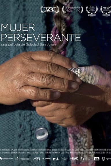 Mujer perseverante poster