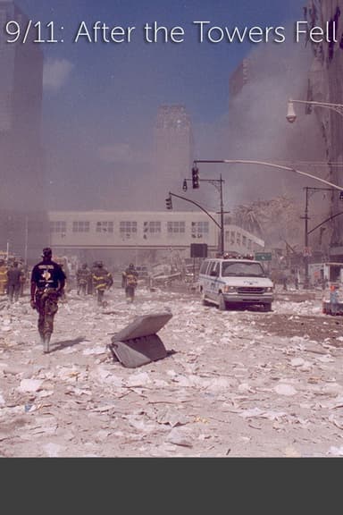 9/11: After The Towers Fell poster