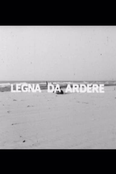 Legna da ardere poster