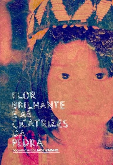 Flor Brilhante e as Cicatrizes da Pedra poster