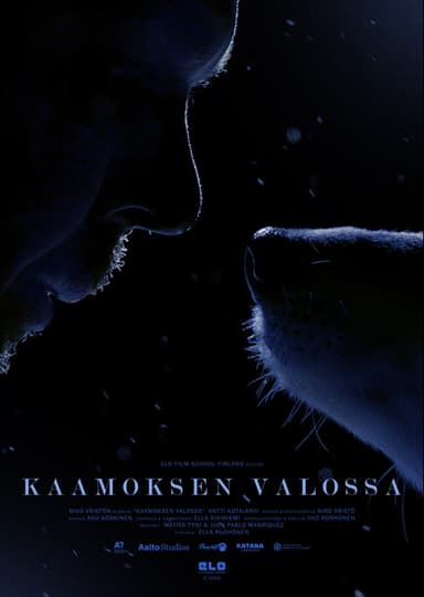 Polar Night Light poster